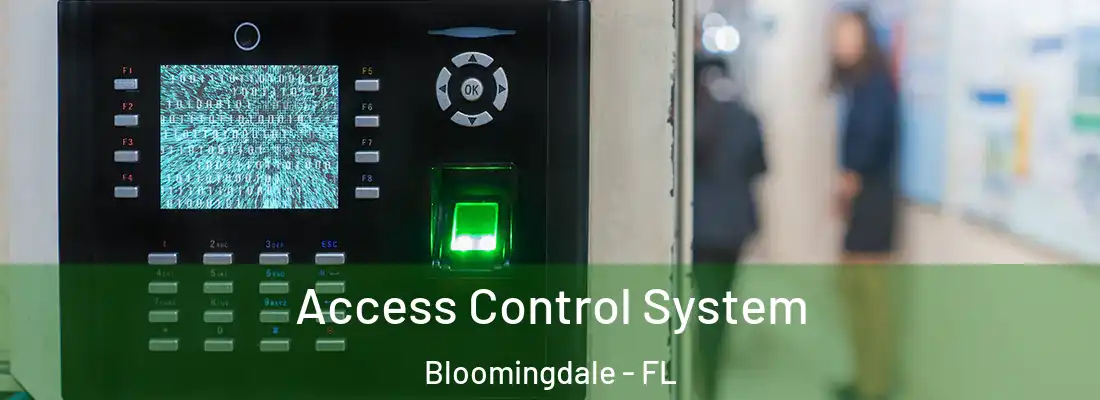 Access Control System Bloomingdale - FL