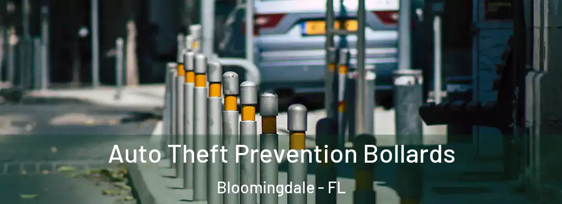  Auto Theft Prevention Bollards Bloomingdale - FL
