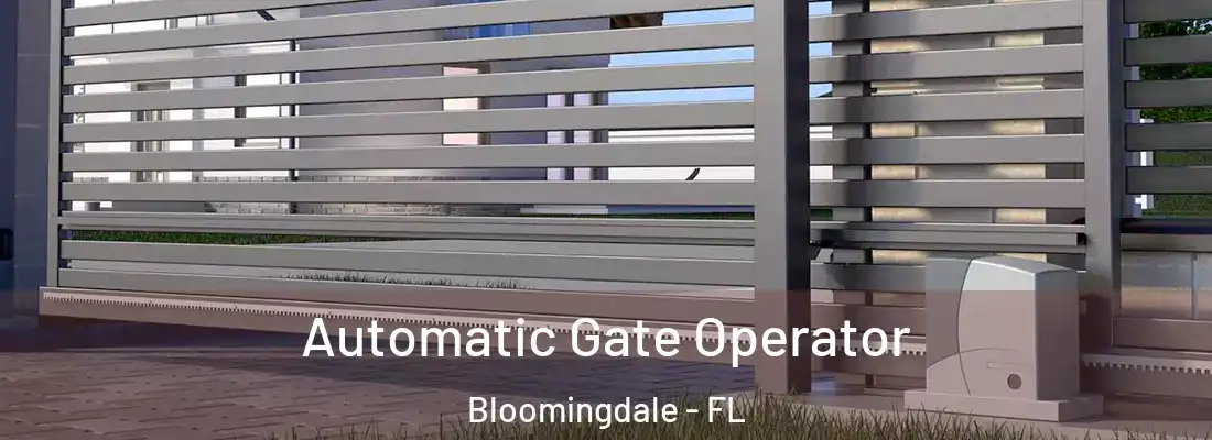 Automatic Gate Operator Bloomingdale - FL