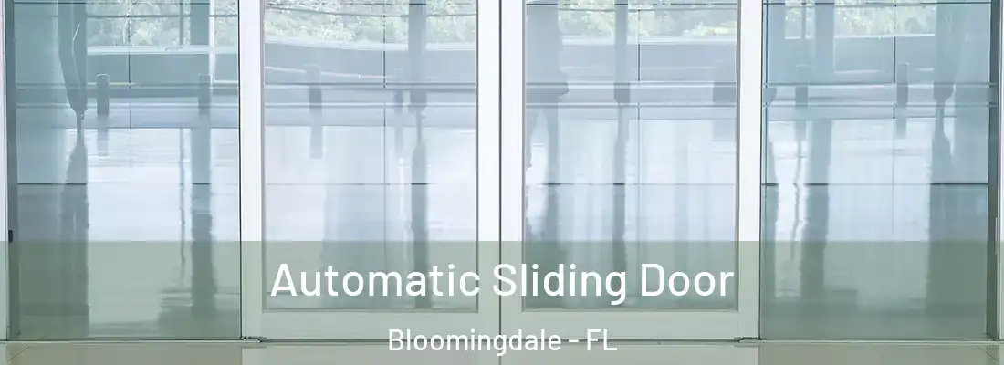  Automatic Sliding Door Bloomingdale - FL