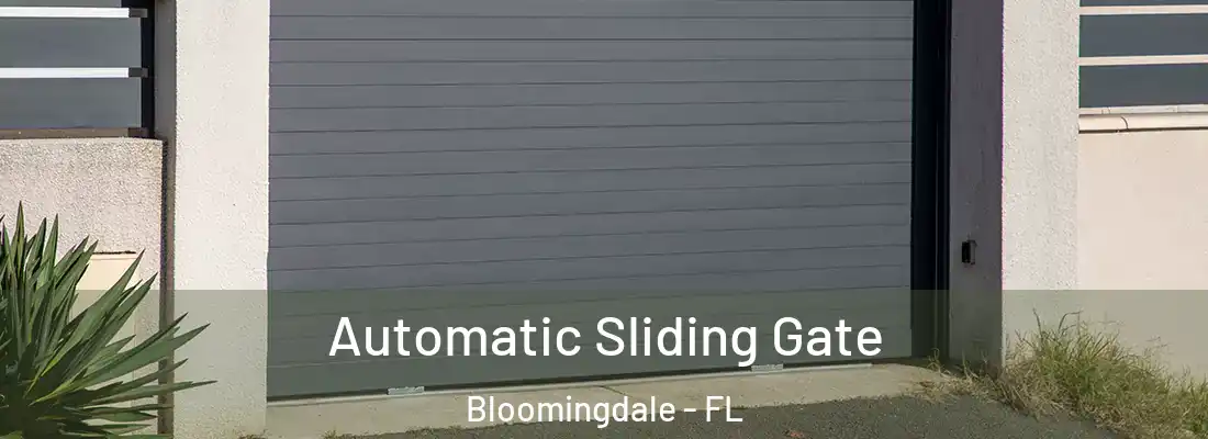  Automatic Sliding Gate Bloomingdale - FL
