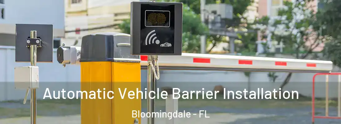  Automatic Vehicle Barrier Installation Bloomingdale - FL