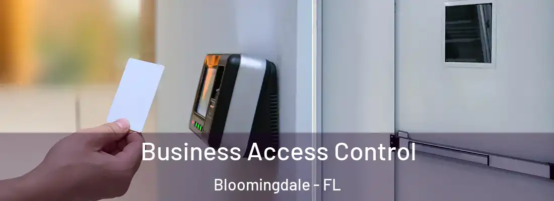  Business Access Control Bloomingdale - FL