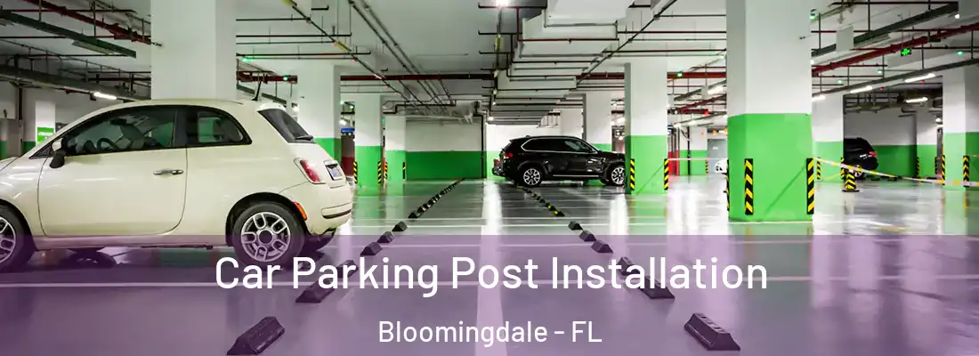  Car Parking Post Installation Bloomingdale - FL