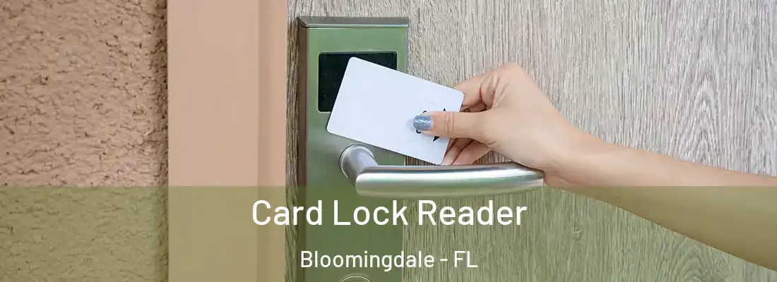  Card Lock Reader Bloomingdale - FL