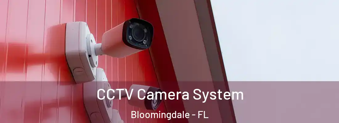  CCTV Camera System Bloomingdale - FL