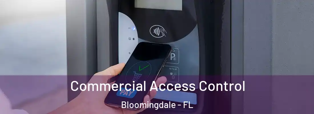  Commercial Access Control Bloomingdale - FL