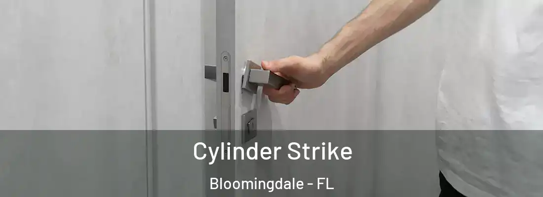 Cylinder Strike Bloomingdale - FL