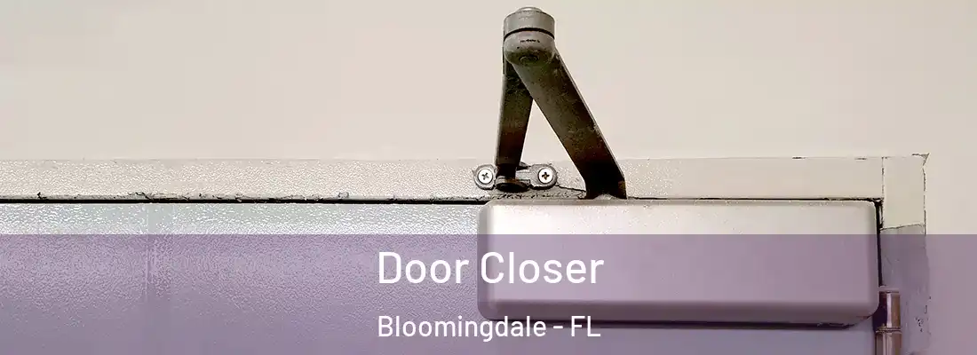  Door Closer Bloomingdale - FL