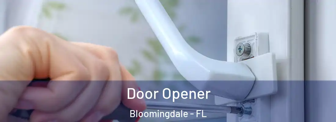  Door Opener Bloomingdale - FL