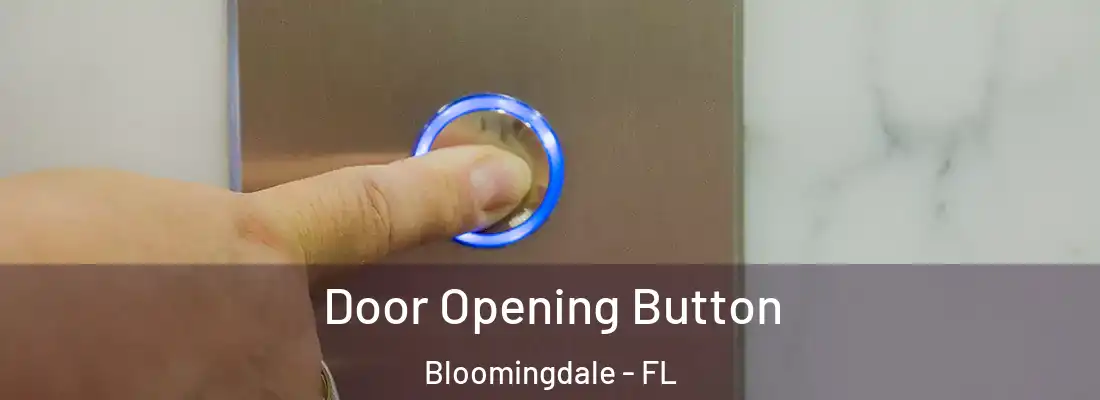  Door Opening Button Bloomingdale - FL