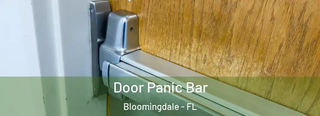  Door Panic Bar Bloomingdale - FL