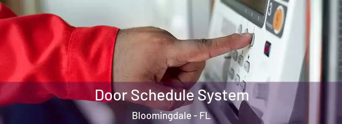  Door Schedule System Bloomingdale - FL