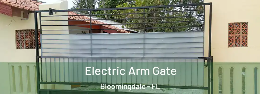  Electric Arm Gate Bloomingdale - FL