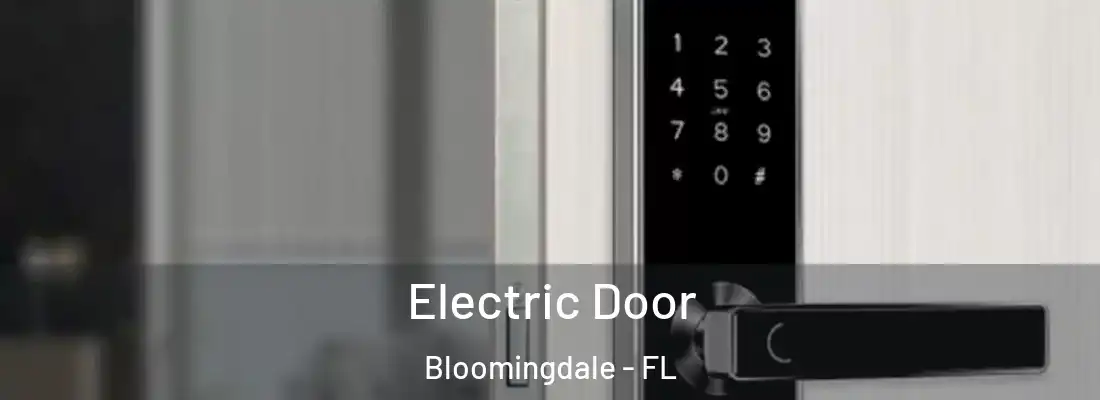  Electric Door Bloomingdale - FL