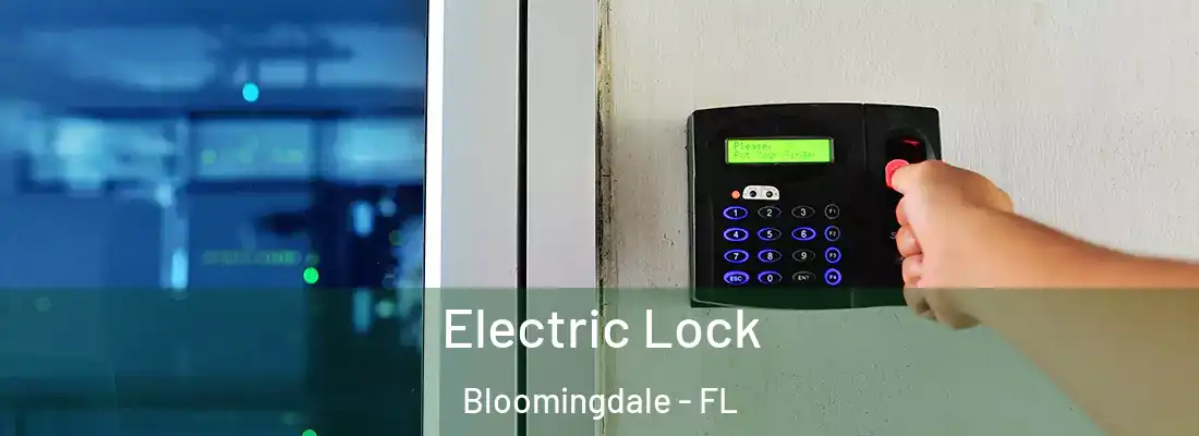  Electric Lock Bloomingdale - FL