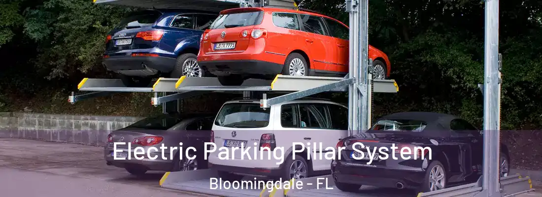  Electric Parking Pillar System Bloomingdale - FL