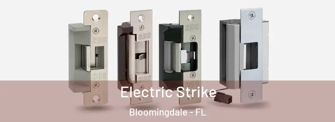  Electric Strike Bloomingdale - FL