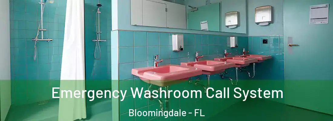  Emergency Washroom Call System Bloomingdale - FL