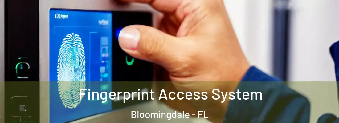 Fingerprint Access System Bloomingdale - FL
