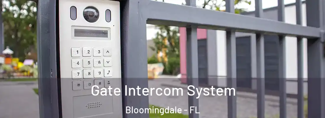 Gate Intercom System Bloomingdale - FL