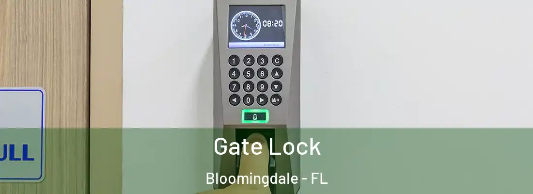  Gate Lock Bloomingdale - FL