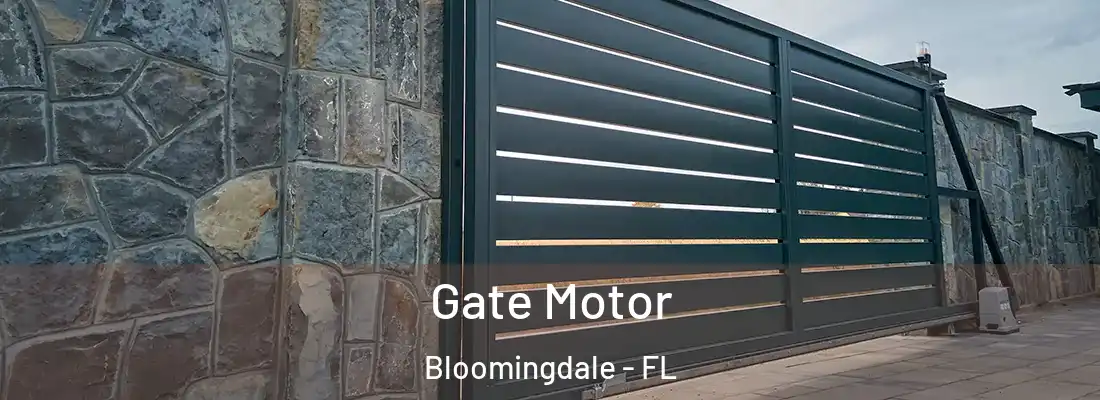  Gate Motor Bloomingdale - FL