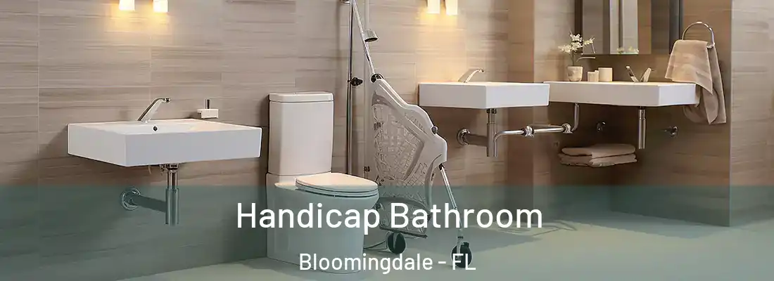 Handicap Bathroom Bloomingdale - FL