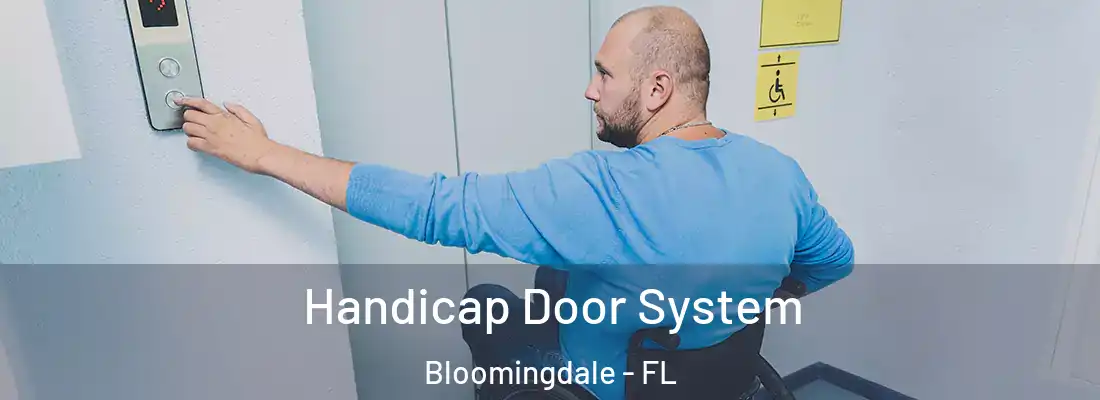  Handicap Door System Bloomingdale - FL