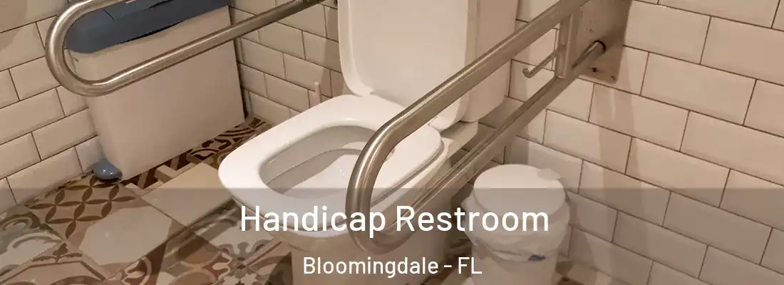  Handicap Restroom Bloomingdale - FL