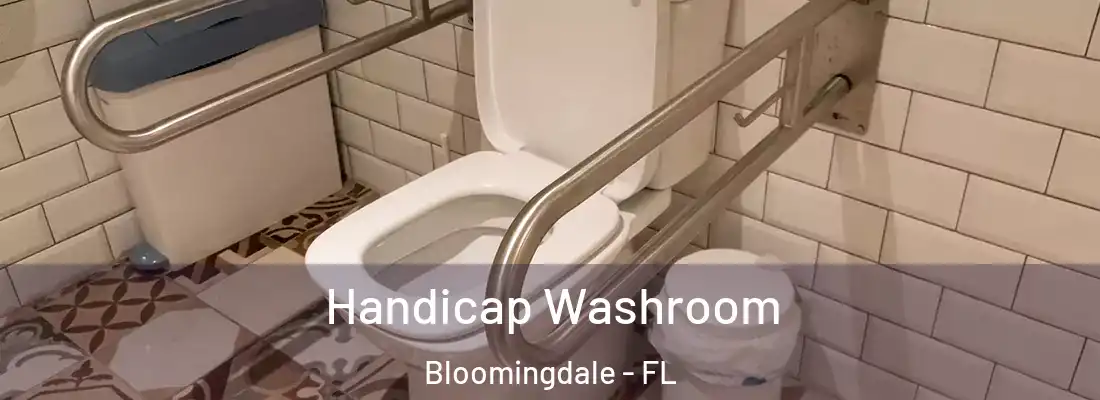  Handicap Washroom Bloomingdale - FL