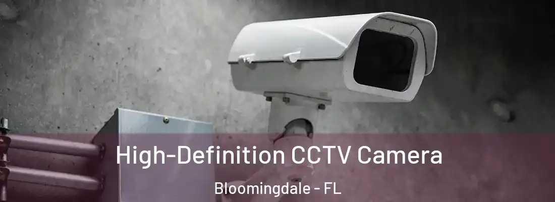  High-Definition CCTV Camera Bloomingdale - FL