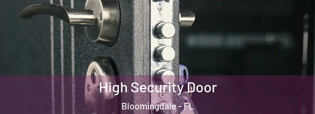  High Security Door Bloomingdale - FL