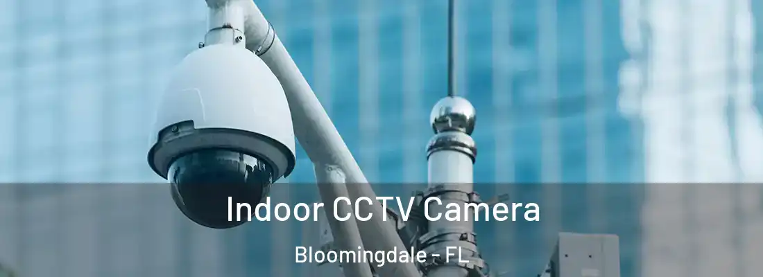  Indoor CCTV Camera Bloomingdale - FL