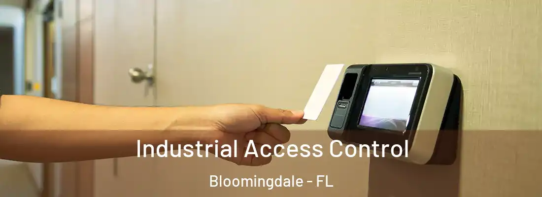  Industrial Access Control Bloomingdale - FL