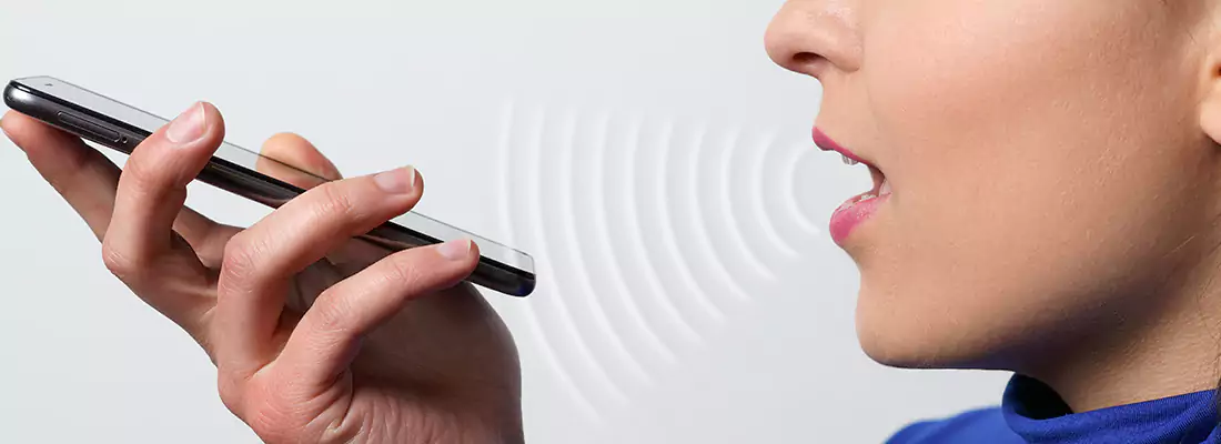 Residential and Commercial Voice Recognition Access Solutions in Bloomingdale, FL