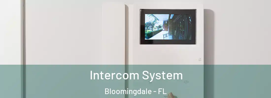 Intercom System Bloomingdale - FL