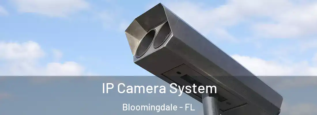  IP Camera System Bloomingdale - FL
