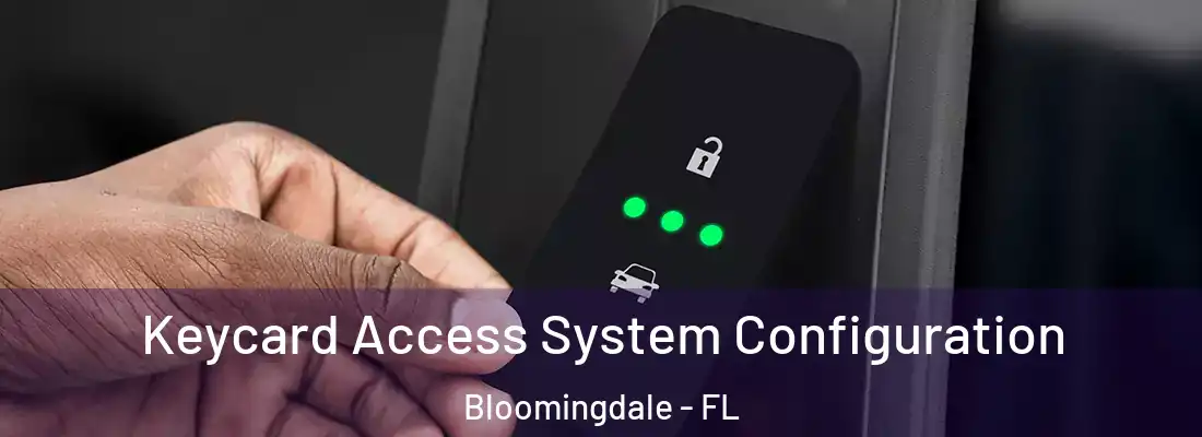Keycard Access System Configuration Bloomingdale - FL