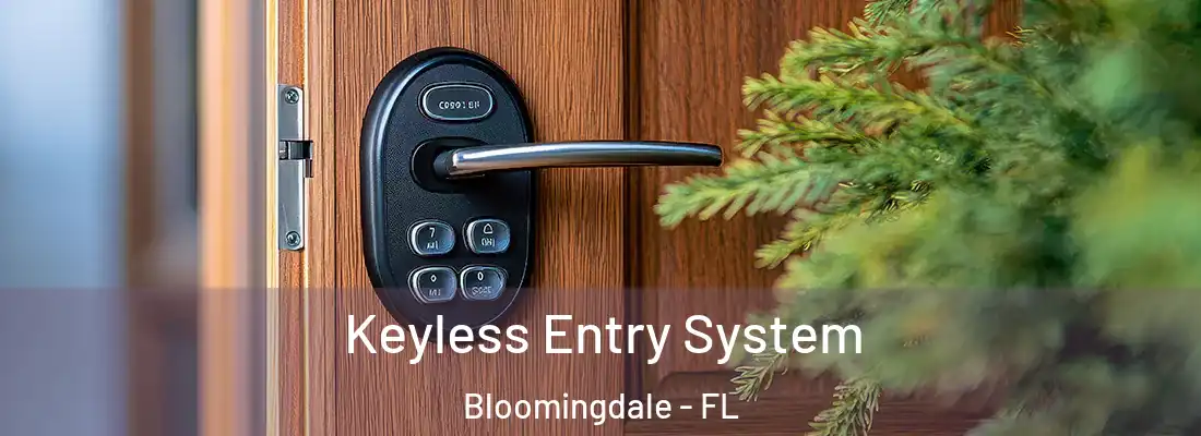 Keyless Entry System Bloomingdale - FL