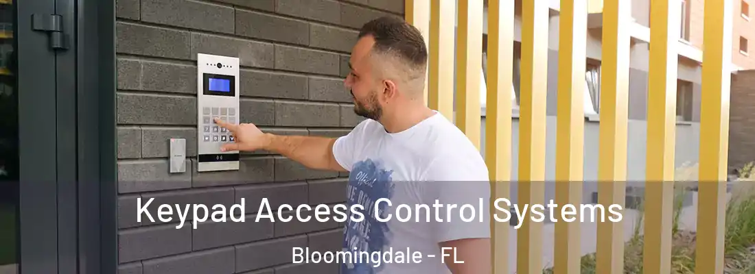 Keypad Access Control Systems Bloomingdale - FL