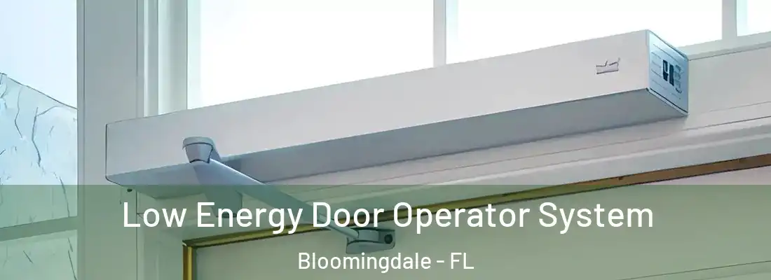  Low Energy Door Operator System Bloomingdale - FL