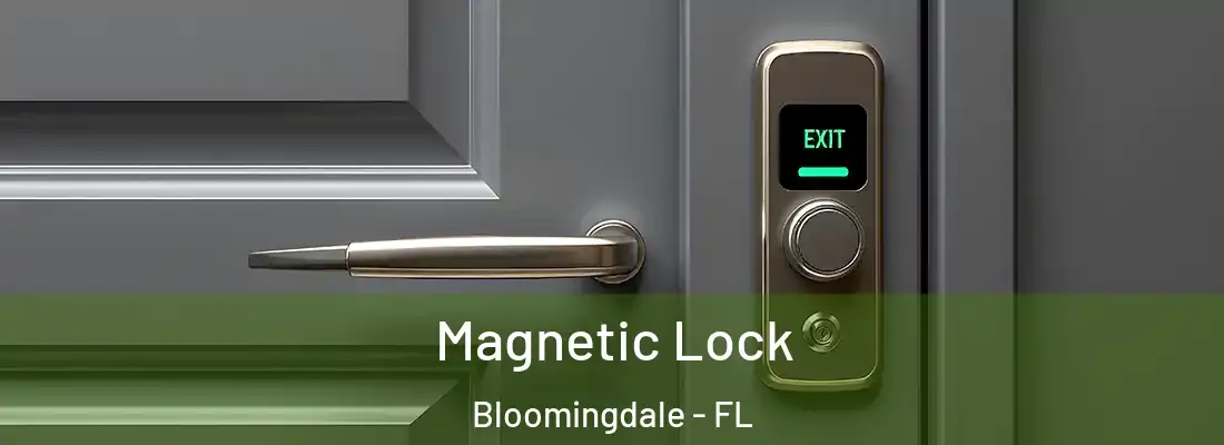  Magnetic Lock Bloomingdale - FL