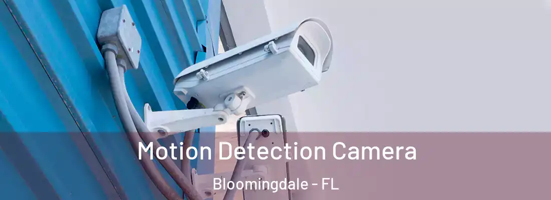 Motion Detection Camera Bloomingdale - FL