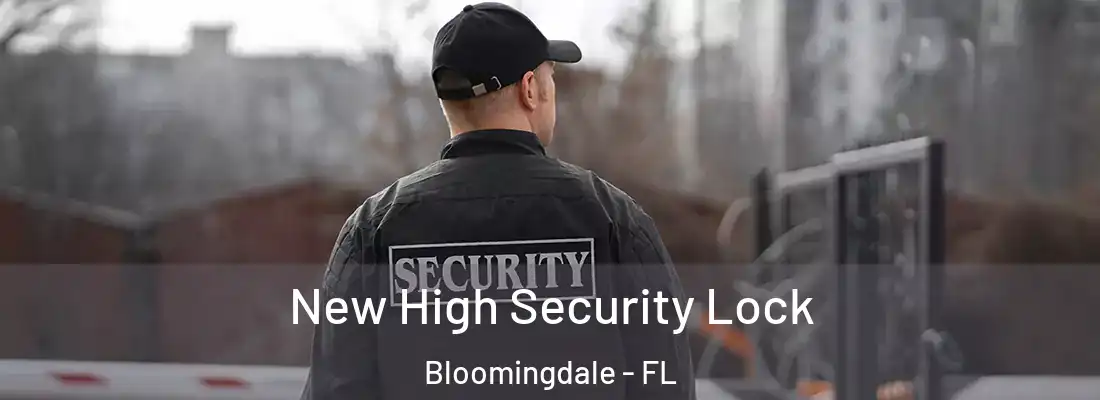 New High Security Lock Bloomingdale - FL