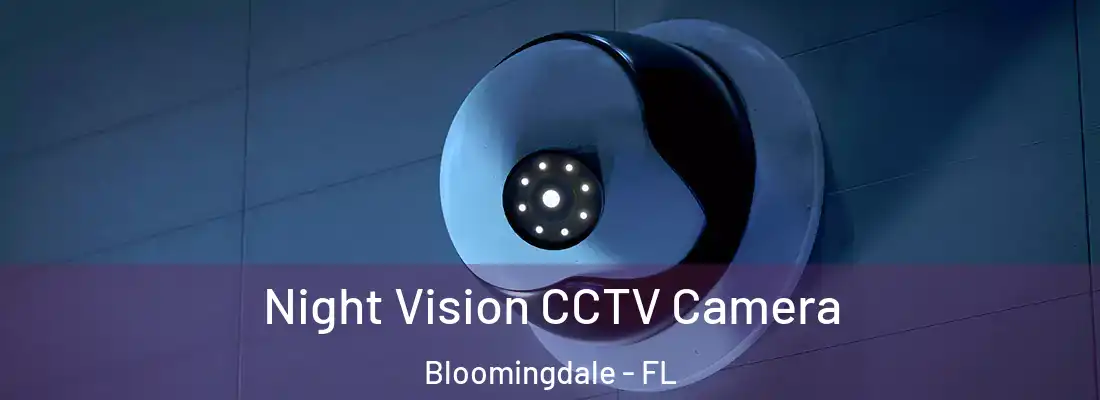  Night Vision CCTV Camera Bloomingdale - FL