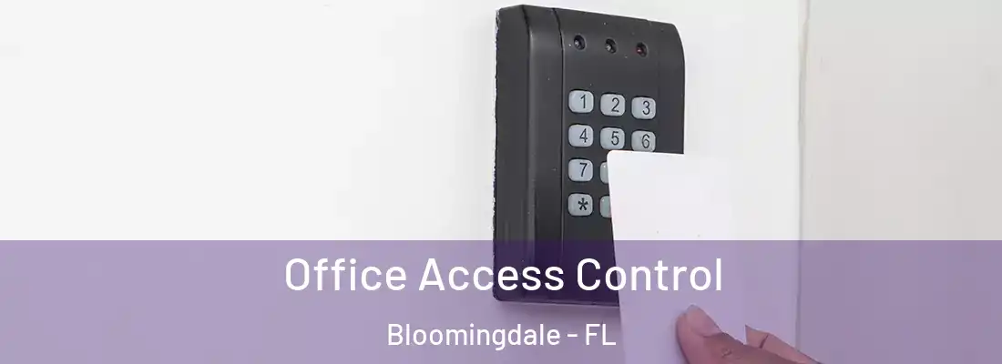 Office Access Control Bloomingdale - FL