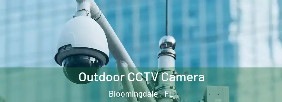 Outdoor CCTV Camera Bloomingdale - FL