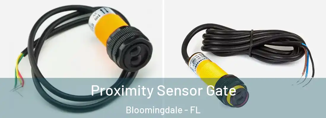 Proximity Sensor Gate Bloomingdale - FL