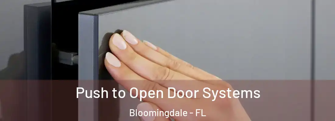 Push to Open Door Systems Bloomingdale - FL
